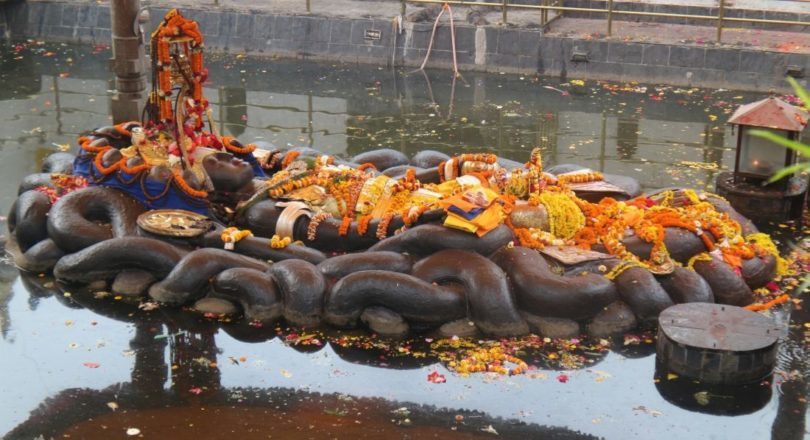 आज हरिबोधिनी एकादशी:देशभरका नारायण मन्दिरमा भक्तजनको भीड