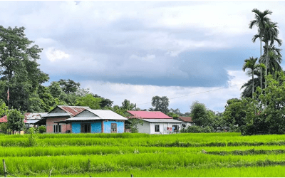 व्यावसायिक कृषि क्षेत्रमा आकर्षित बालचन खोरियाका किसान